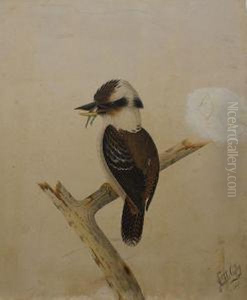 Senior Oil Painting by Neville Henry Peniston Cayley