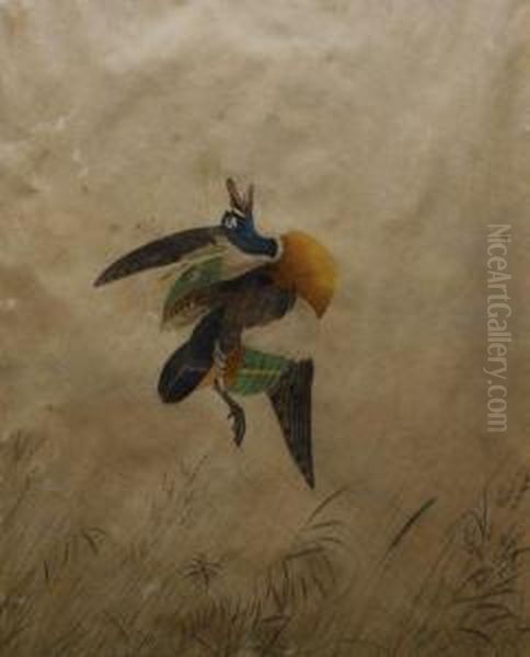 Senior Oil Painting by Neville Henry Peniston Cayley