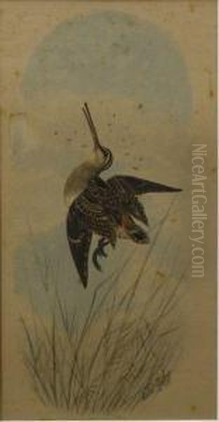 Senior Oil Painting by Neville Henry Peniston Cayley