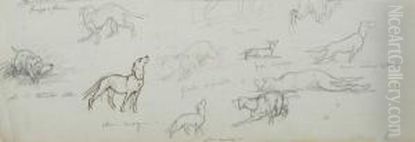 Studio Di Cani Oil Painting by Eugenio Cecconi