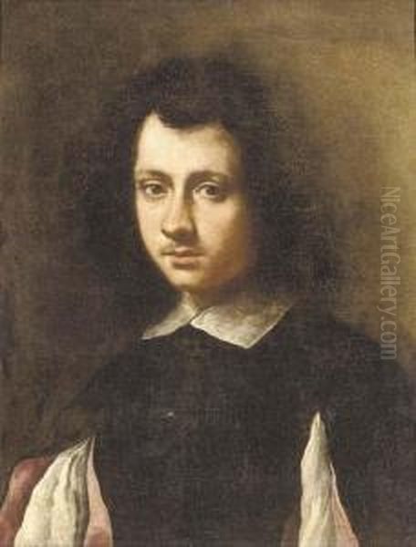 Portrait Of A Young Man, 
Bust-length, In A Black Doublet With Slashed Sleeves And A White Collar Oil Painting by Carlo Ceresa