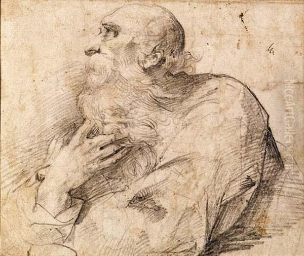 A Bearded Saint Turned To The Left Oil Painting by Giuseppe Cesari