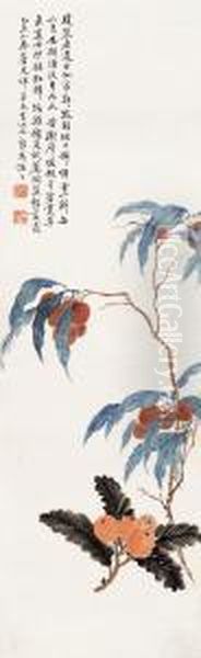 Litchi And Loquat Oil Painting by Feng Chaoran