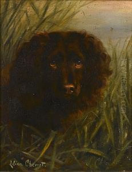 A Water Spaniel Among Reeds Oil Painting by Lilian Cheviot