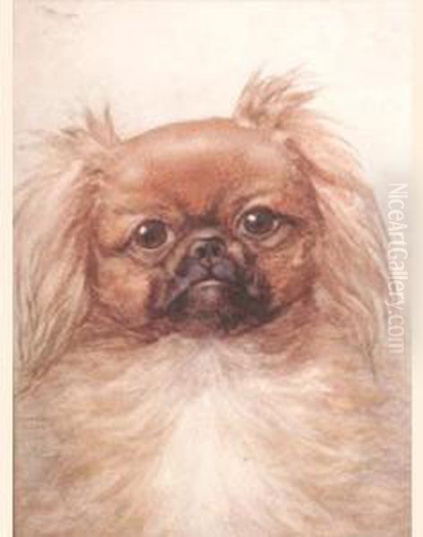 A Pekingese Oil Painting by Lilian Cheviot