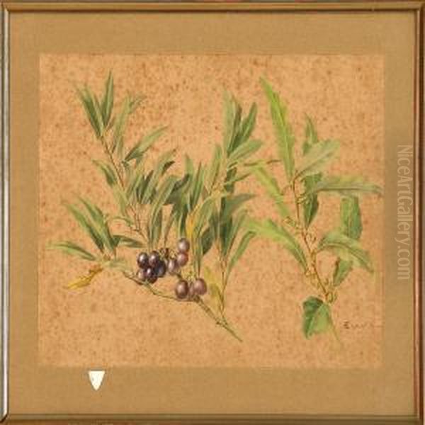 Blackthornbranch And Laurel Branch Oil Painting by Anthonie, Anthonore Christensen