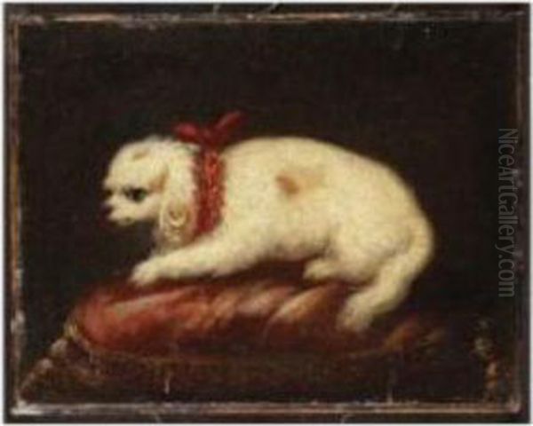 Maltese On A Red Cushion Oil Painting by Pier Francesco Cittadini