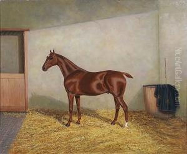 Dark Chestnut Hunter In A Stable Oil Painting by A. Clark