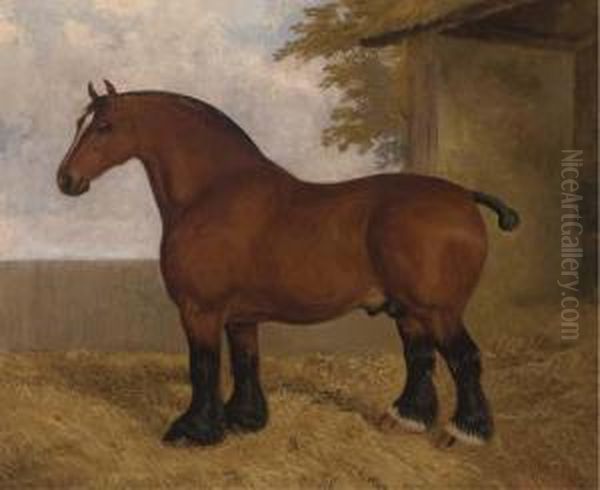 The Shire Stallion Oil Painting by A. Clark