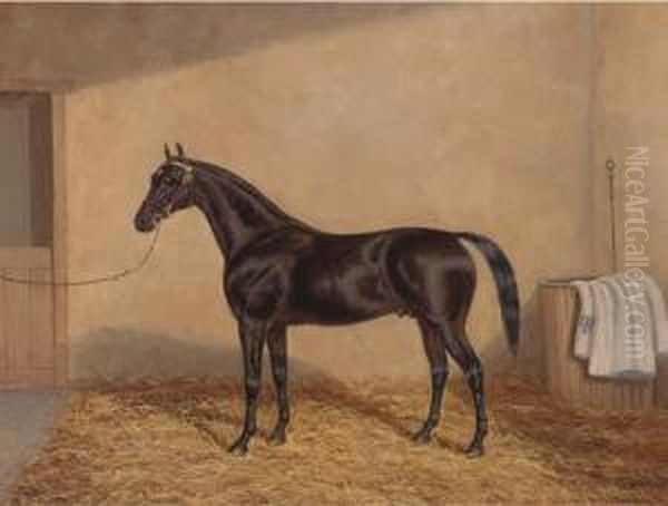 A Bay Racehorse In A Stable Oil Painting by A. Clark