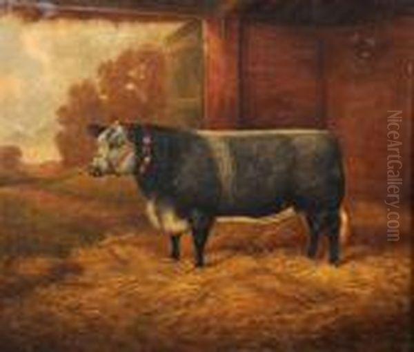 British 
Lily, A Champion Heifer In A Barn Oil Painting by William Clark Of Greenock