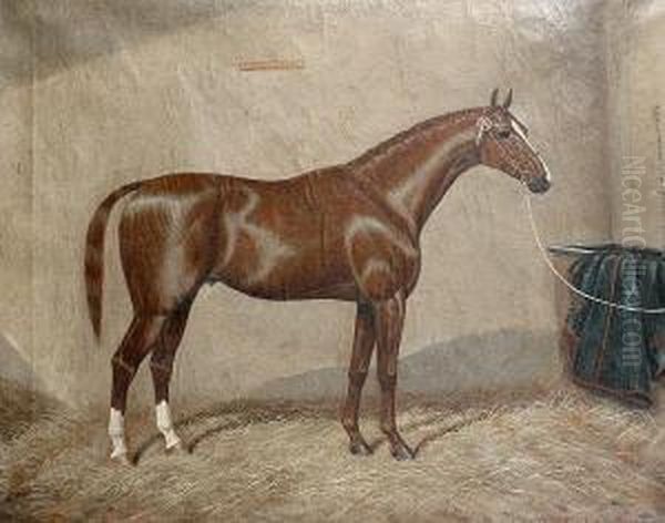 Drummond's Pride - A Horse In A Stable Oil Painting by William Clark Of Greenock