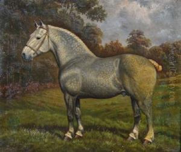 Nonius Oil Painting by William Clark Of Greenock