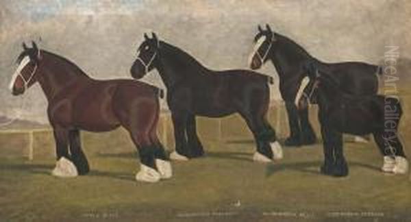 Peele Belle, Oldborough 
Pleasant, Oldborough Belle, And Oldboroughduchess, Four Shirehorses Oil Painting by William Clark Of Greenock