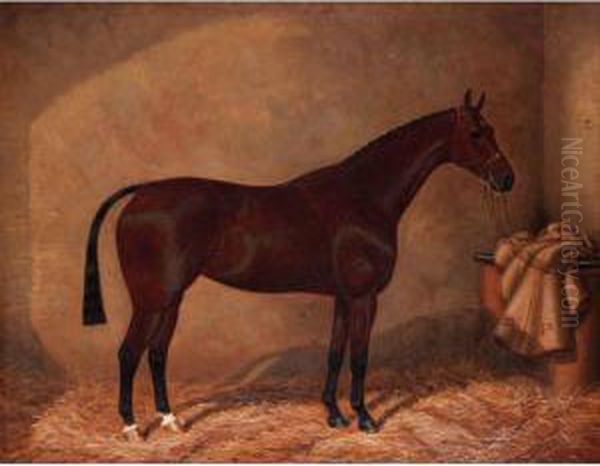 Bay Horse In Stable Oil Painting by William Clark Of Greenock