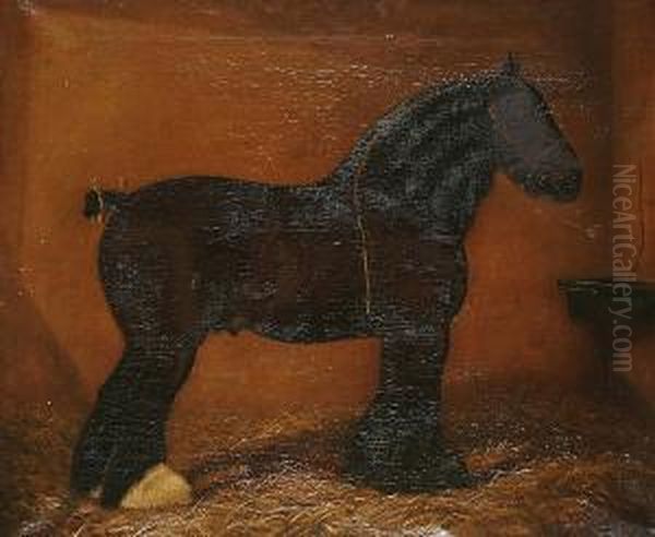 Portrait Of A Shire Horse In A Stable, Believed To Be Champion's Coalkeeper Oil Painting by William Clark Of Greenock