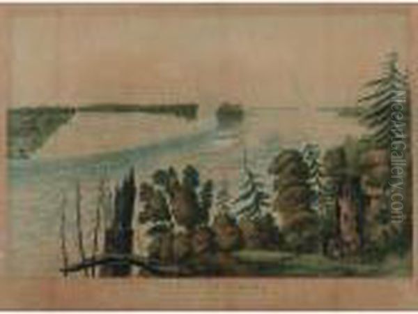The Falls Of Niagara. This 
General View Above The English Ferry; And The Falls Of Niagara. This 
View Of The American Fall, From Goat Island (lane 300 And 303) Oil Painting by Cockburn, James Pattison