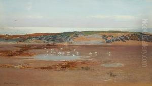 Sea Coast Near Conway Oil Painting by George Cockram