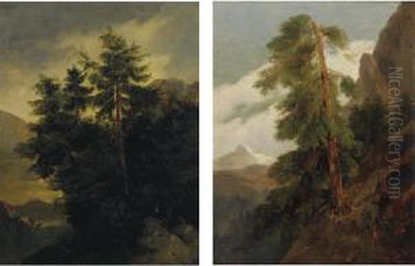 'stand Of Pines On A Rocky 
Outcropping' And 'pine Tree On A Hillside A Snow
 Covered Mountain Beyond Oil Painting by Jules Louis Phillipe Coignet