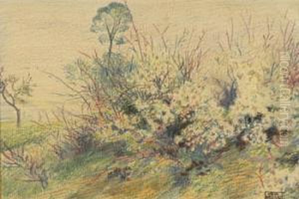 Massif Fleuri Oil Painting by Paul Emile Colin