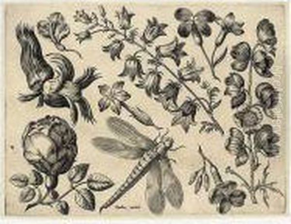 Florae Deae Inter Patrios & 
Exoticos Flores Sedentis Artificiosa Delineatio (not In Hollstein) Oil Painting by Adriaen Collaert