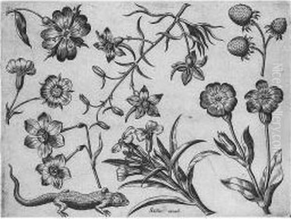 Florae Deae Inter Patrios & 
Exoticos Flores Sedentis Artificiosa Delineatio (not In Hollstein) Oil Painting by Adriaen Collaert