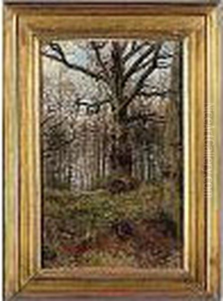 The Hon. , -, Woodland Scene, 
Signed L.l.: John Collier, Oil On Canvas Board, 60 By 37 Cm.; 23i By 
13iin Oil Painting by John Maler Collier
