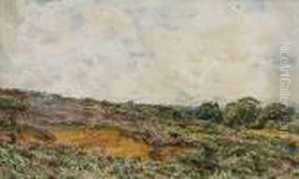 Fittleworth Common, Sussex Oil Painting by Thomas Collier