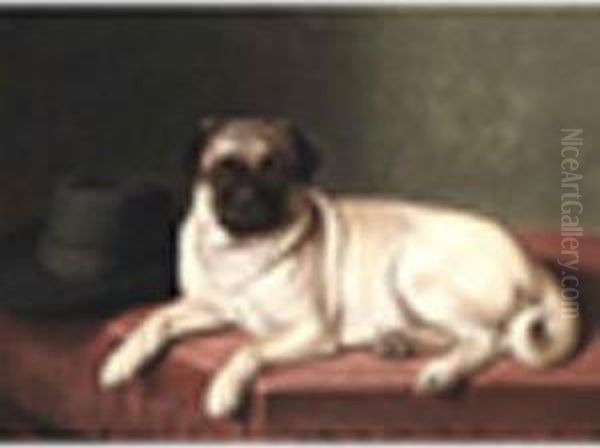 A Pugsigned, Oil On Canvas 22 X 16in Oil Painting by Horatio Henry Couldery