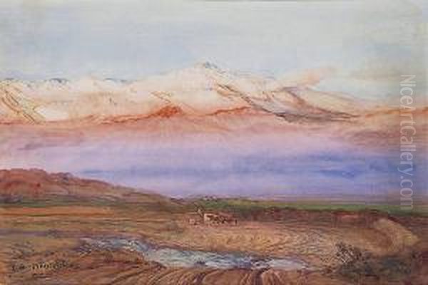 Vue De La Cordiliere Des Andes Oil Painting by Ernest Courtois De Bonnencontre