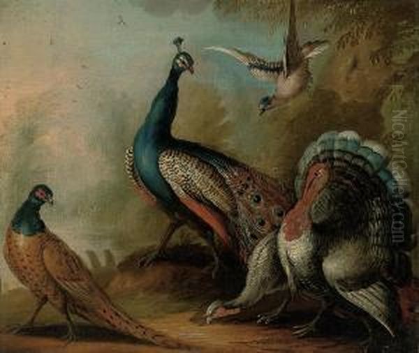 A Peacock, Two Turkeys, A Pheasant, And A Jay In A Landscape Oil Painting by Marmaduke Cradock