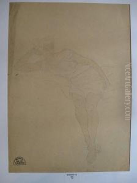 Jeune Femme Au Repos Oil Painting by Suzanne Crepin