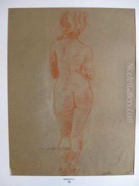 Nu Feminin De Dos Oil Painting by Suzanne Crepin