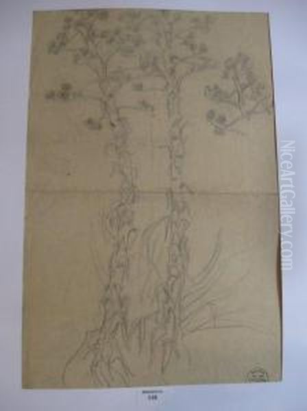 Les Aloes Oil Painting by Suzanne Crepin