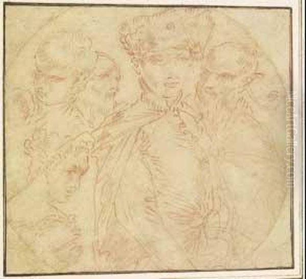 Studi Di Teste Oil Painting by Donato Creti