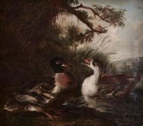 Due Anatre Oil Painting by Giovanni Crivelli, Il Crivellone