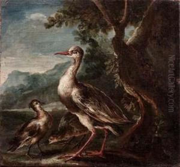 Cicogna Con Due Pulcini Oil Painting by Giovanni Crivelli, Il Crivellone