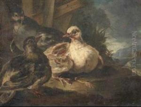 Tre Volatili In Un Paesaggio Oil Painting by Giovanni Crivelli, Il Crivellone