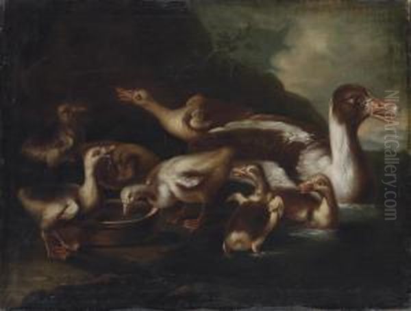 Ducks And Ducklings By A Riverbank Oil Painting by Giovanni Crivelli, Il Crivellone