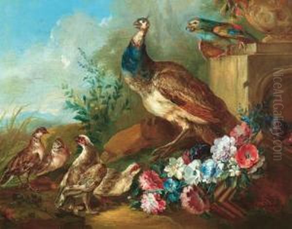 Natura Morta Con Pavone, Pernici E Pappaga Oil Painting by Giovanni Crivelli, Il Crivellone