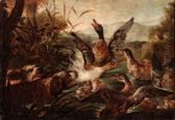 Anitre In Uno Stagno Spaventate Dai Cani Oil Painting by Giovanni Crivelli, Il Crivellone