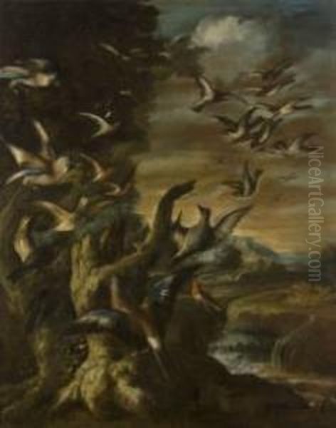 (milano Fine Sec. Xvii-1730 Ca)
 Pernici E Altri Volatili In Un Paesaggio Oil Painting by Angelo Maria Crivelli, Il Crivellone