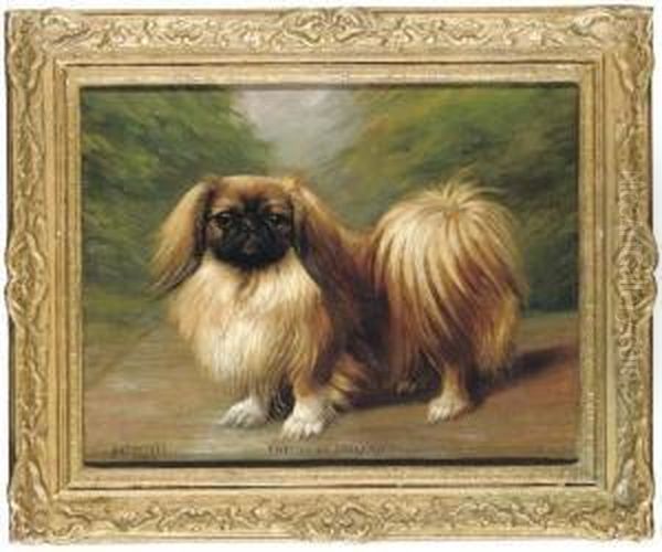 Kwe Li Of Inglenook
, A Pekingese Oil Painting by Henry Crowther
