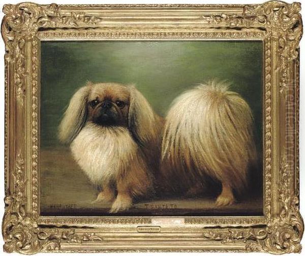 T San Ta To
 A Pekingese Oil Painting by Henry Crowther