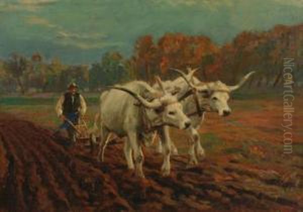 Pflugender Bauer Mit Ochsengespann Oil Painting by Karoly Cserna