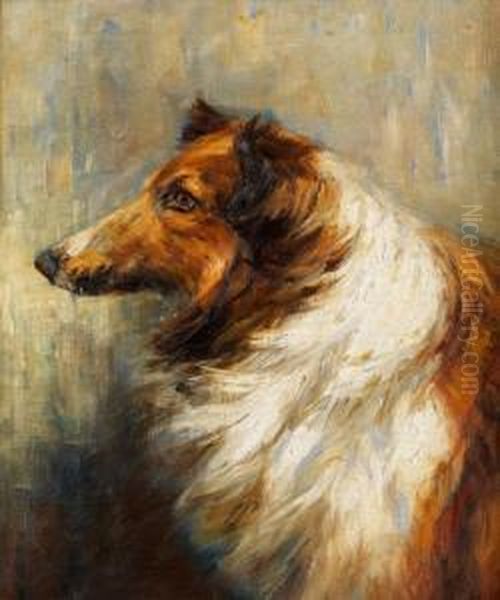 Portraitkopf Eines Collie-hundes Oil Painting by Robert Franz Curry