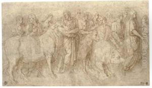 Priests Leading A Bull Oil Painting by Girolamo da Carpi