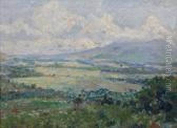 Tropisch Landschap Met Velden Aan De Voet Van Een Vulkaan Oil Painting by Carel L. Ii Dake