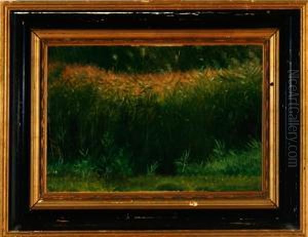 Rush By A Forest Lake Oil Painting by Christen Dalsgaard