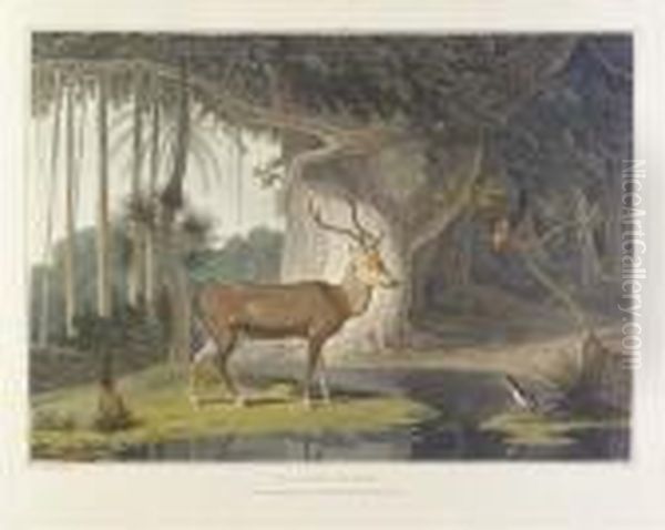 A Picturesque Illustration Of 
The Scenery, Animals, And Nativeinhabitants, Of The Island Of Ceylon. 
London: By T. Bensley,[1807]-1808 [watermarks: 'j, Whatman 1801']. Oil Painting by Samuel Daniell